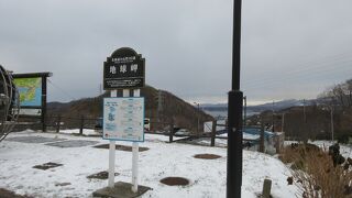 名前に惹かれたけど