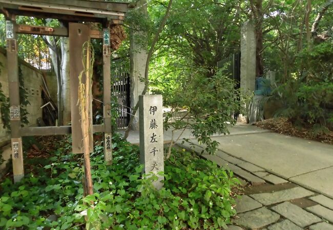 お寺の名前が刻まれた石碑も植栽の中に埋もれていました
