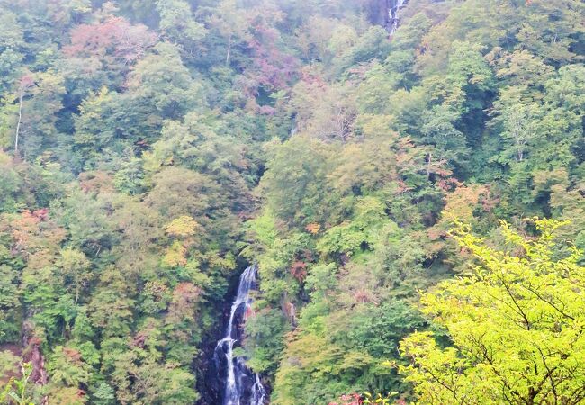 観瀑台からの遠景