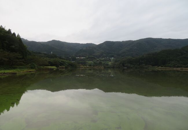 鯉養殖所跡