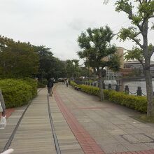 軌道が残されている汽車道は海のそばの遊歩道です。