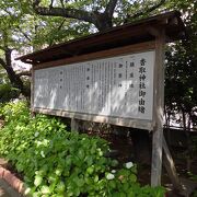 亀戸大根の碑など見どころも多い神社でした