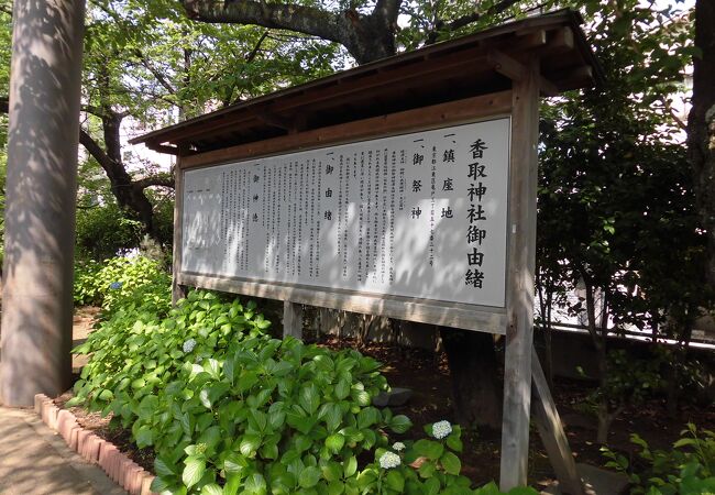 亀戸大根の碑など見どころも多い神社でした