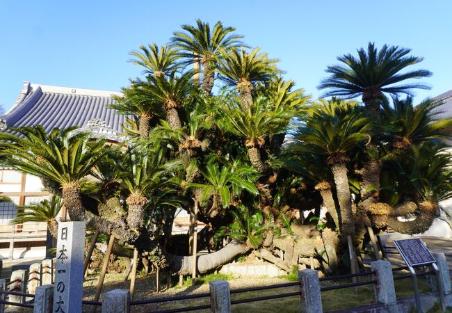 木下家の菩提寺