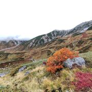 紅葉の時期もすばらしい