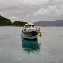 加計呂麻島海上タクシー