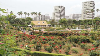 気軽に行けるバラ園