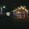 冬の時期公園内ではイルミネーションイベントが行われている。