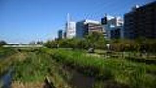 横浜市内を流れて鶴見で海に注ぐ川