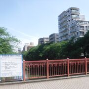 初夏の目黒川