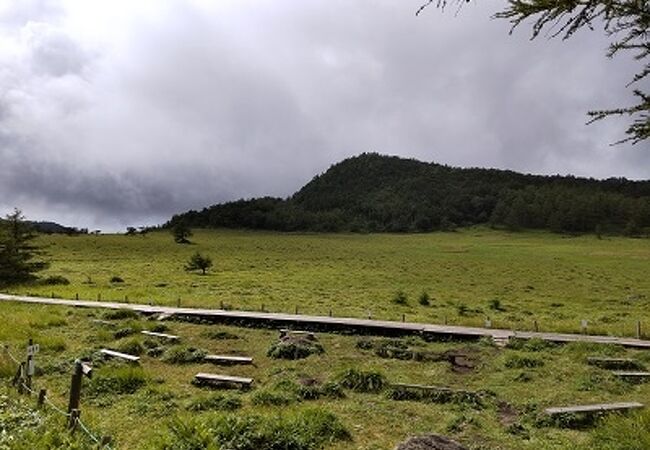 池の平湿原