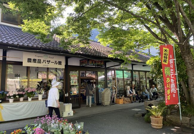 木の花ガルテン オーガニック農園 大山本店