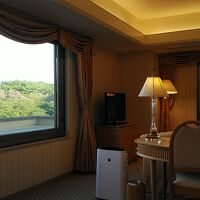 部屋から緑が多くくつろぎます