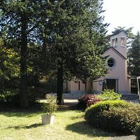 朝食後の散歩は鳥のさえずりに癒されます