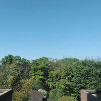 部屋からの眺望、よく見ると富士山がｗ