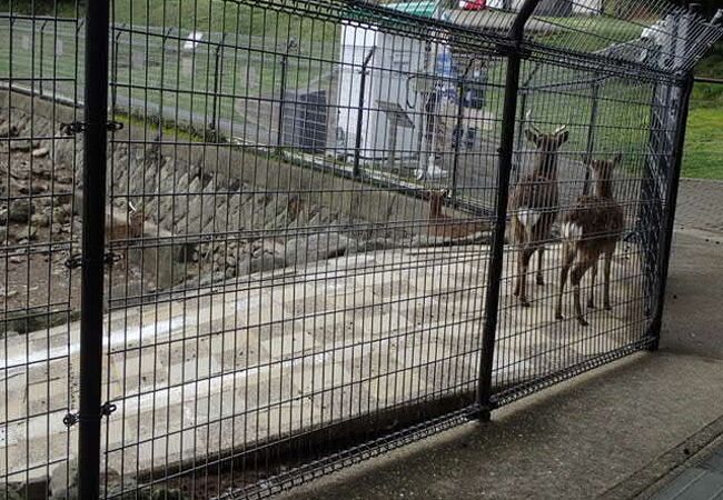 稲佐山公園