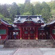 うっそうとした杉林の中の神社。箱根の中心です。