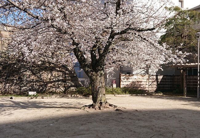 挙母城址(桜城)/桜城址公園