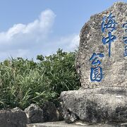 雨の日は良いかも。日によって会える魚は変わります