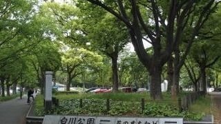 名古屋市街地中心部にある広い公園