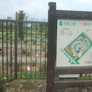 美しい薔薇園が有名な公園です。