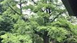 本堂からも是非