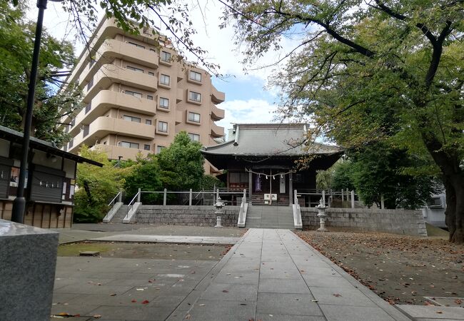 驚神社 / 牛込の獅子舞