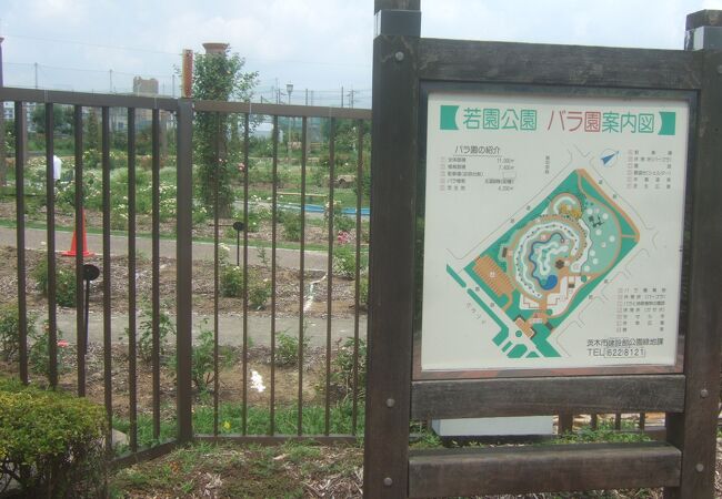 若園公園バラ園