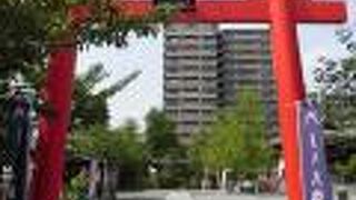 神聖なパワーも感じる気がしました