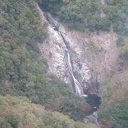日本三大神滝と呼ばれる神戸の有名な滝です。