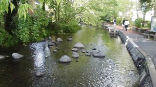 きれいな水を間近に見られる