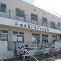 いまいゆ市場