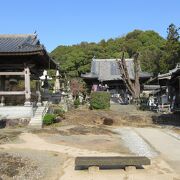 境内は岩盤がむきだしで凸凹しています