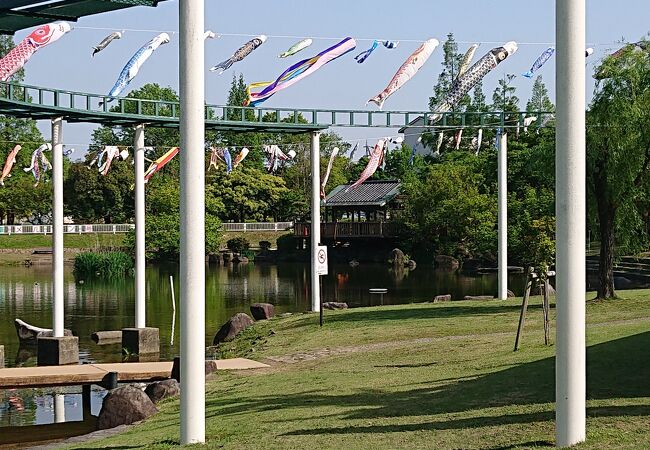 「こいのぼり」が気持ち良さそうに空を泳いでいました