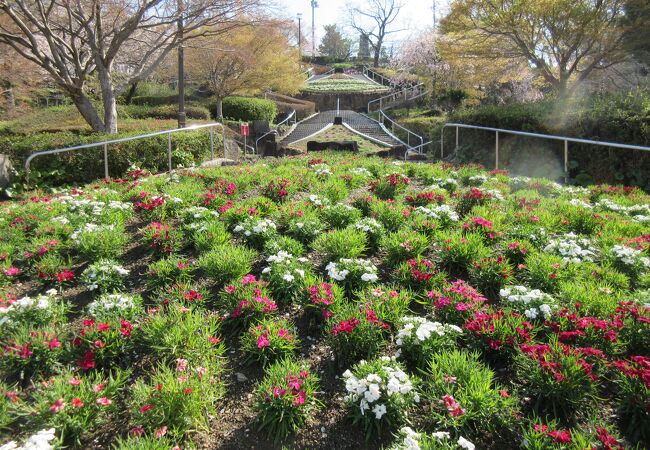 駐車場から山頂への階段に沿った「花のカスケード」が綺麗でした