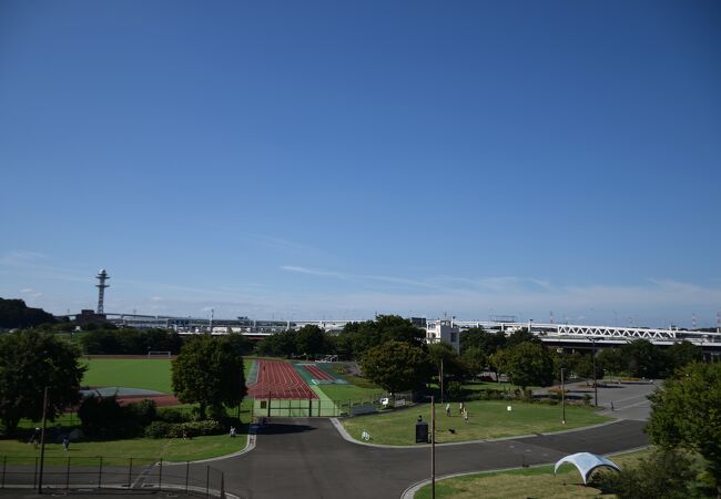 日産スタジアムを含む一帯の公園