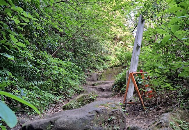 鎌倉を訪れるなら一度は通ってみたい