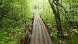 人が少なく静かで良かったです