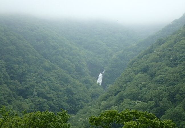 蔵王山中でもっとも大きい滝