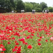 東北唯一の国営公園