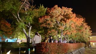 物足りなさを感じた