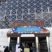 神戸を代表する水族館
