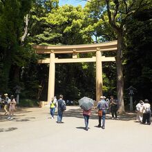 JR原宿駅西口を出ると明治神宮の南参道です。