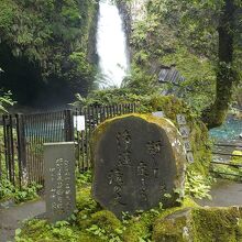 まじかに見る浄蓮の滝。水量があります。