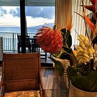 リビングのダイニングテーブルからの眺め