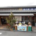 新鮮野菜や果物などがずらりと並ぶ素朴な感じの道の駅