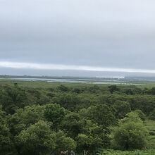 建物内からは見れませんでしたが、自販機の外側からの景色