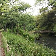 下茶屋公園