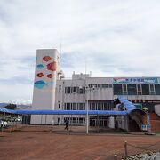 歴史のある水族館です