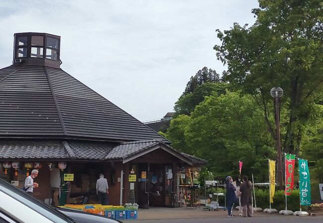 小さく新幹線駅近いが充実した道の駅